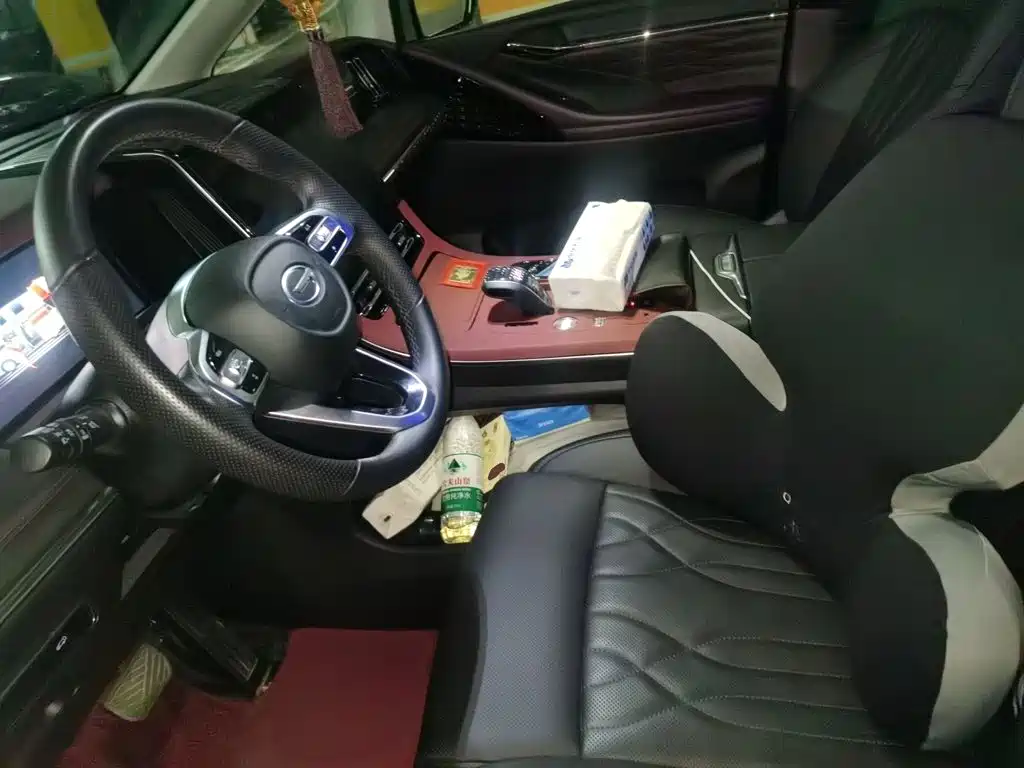 GAC Motor Trumpchi M8 — миниатюра 8