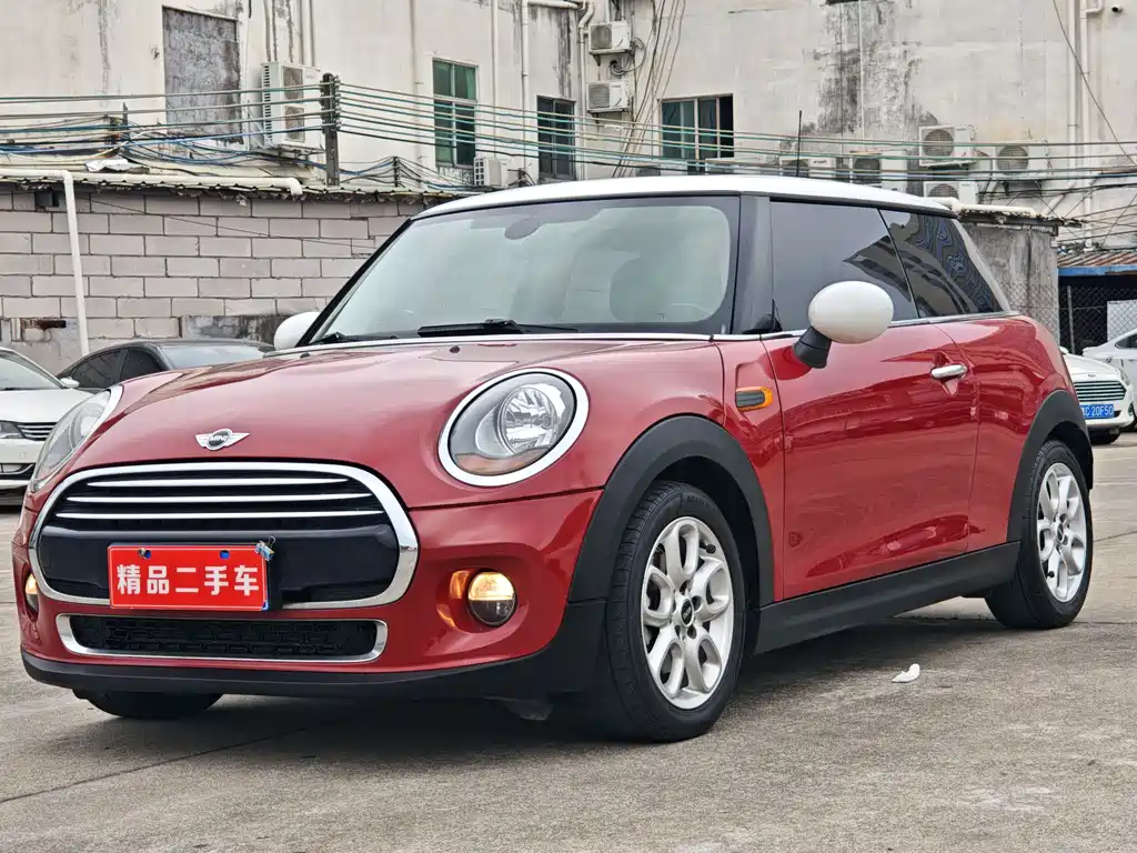 Mini Mini 2015