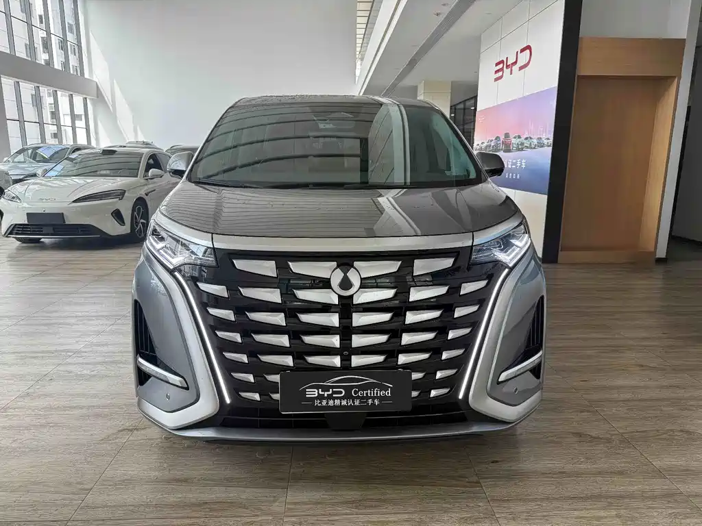 Denza Denza D9 — миниатюра 3