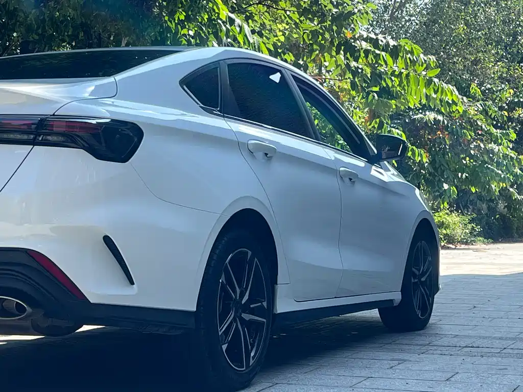 GEELY AUTOMOBILE BINRUI