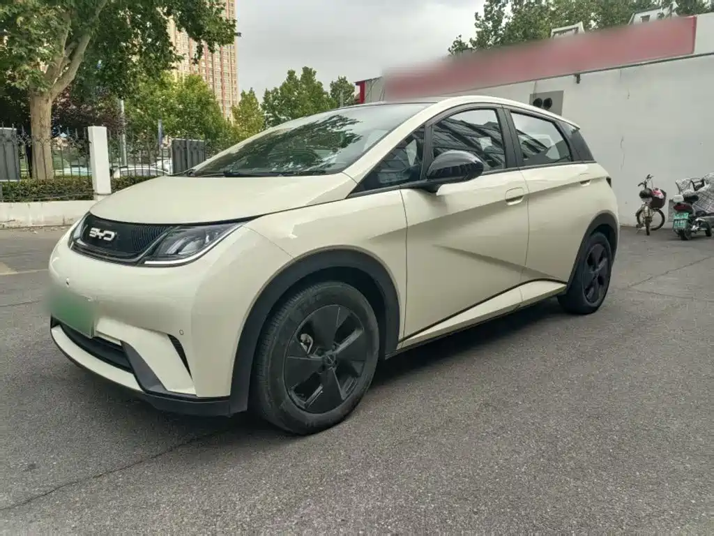 BYD Dolphin — миниатюра 2