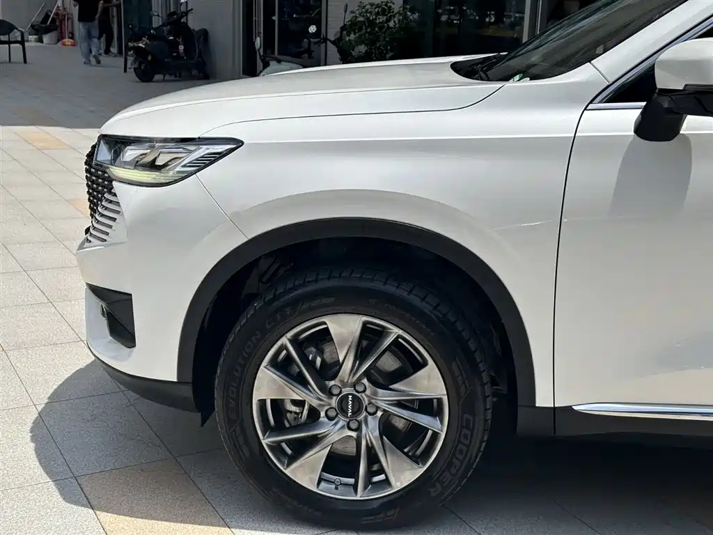 Haval H6 New Energy — миниатюра 5