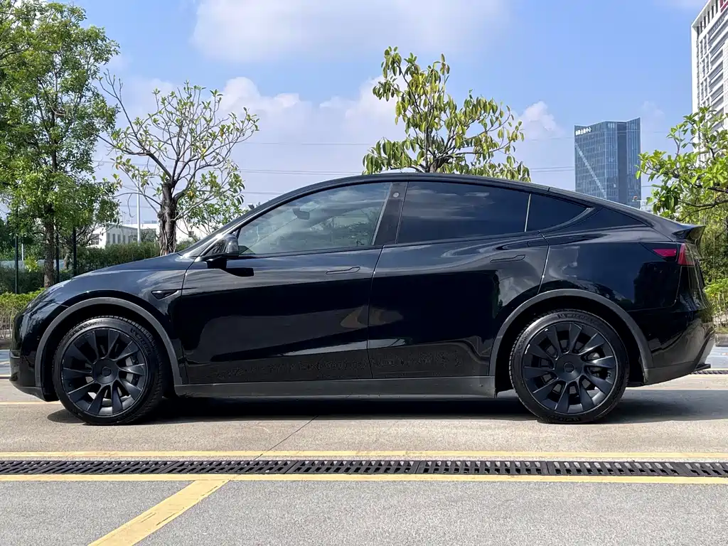 Tesla Model Y — миниатюра 15