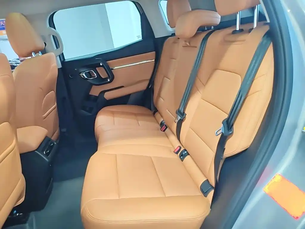 Haval Big Dog PLUS New Energy — миниатюра 17