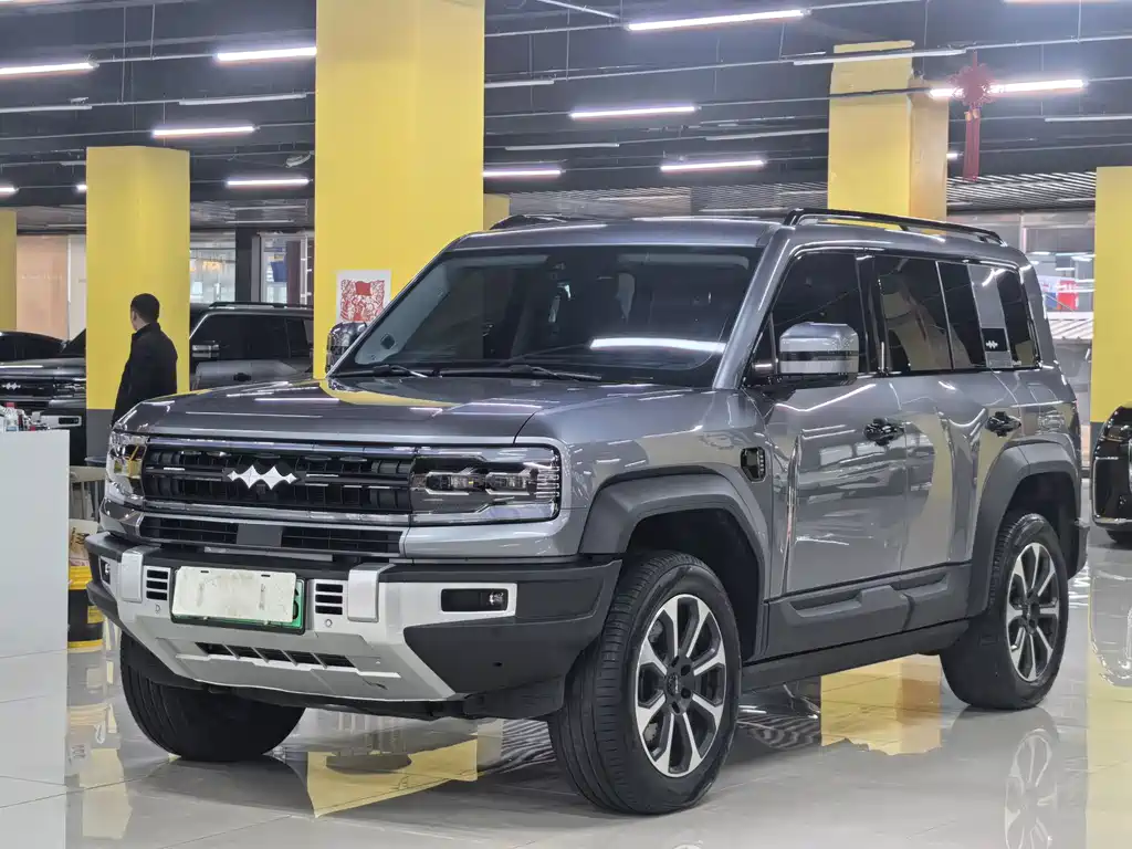 FANG CHENG BAO LEOPARD 5