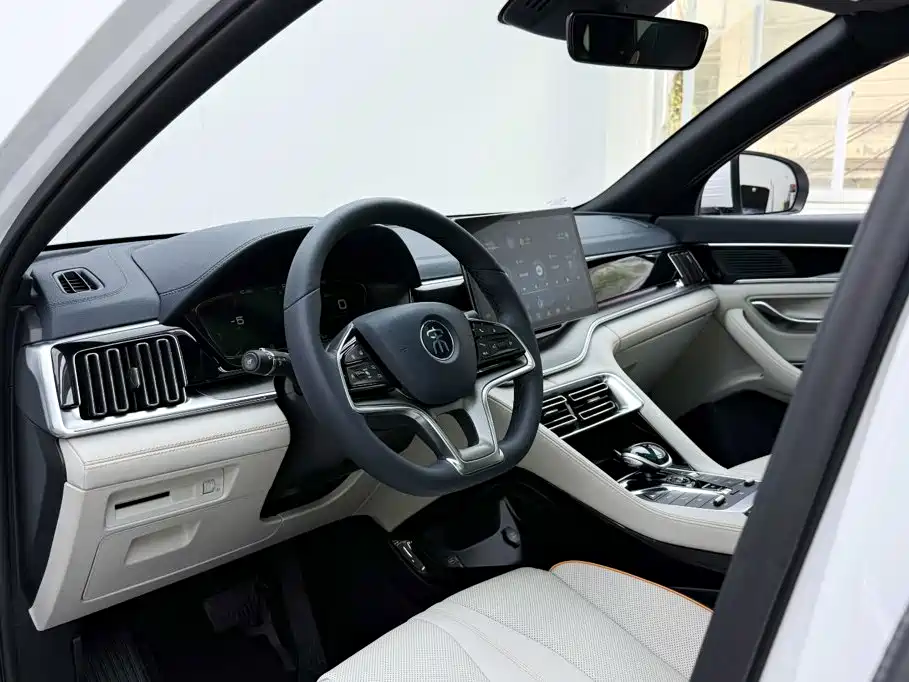 BYD PLUS New Energy — миниатюра 6