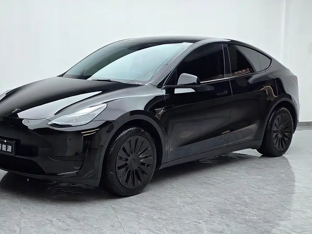 Tesla Model Y — миниатюра 2