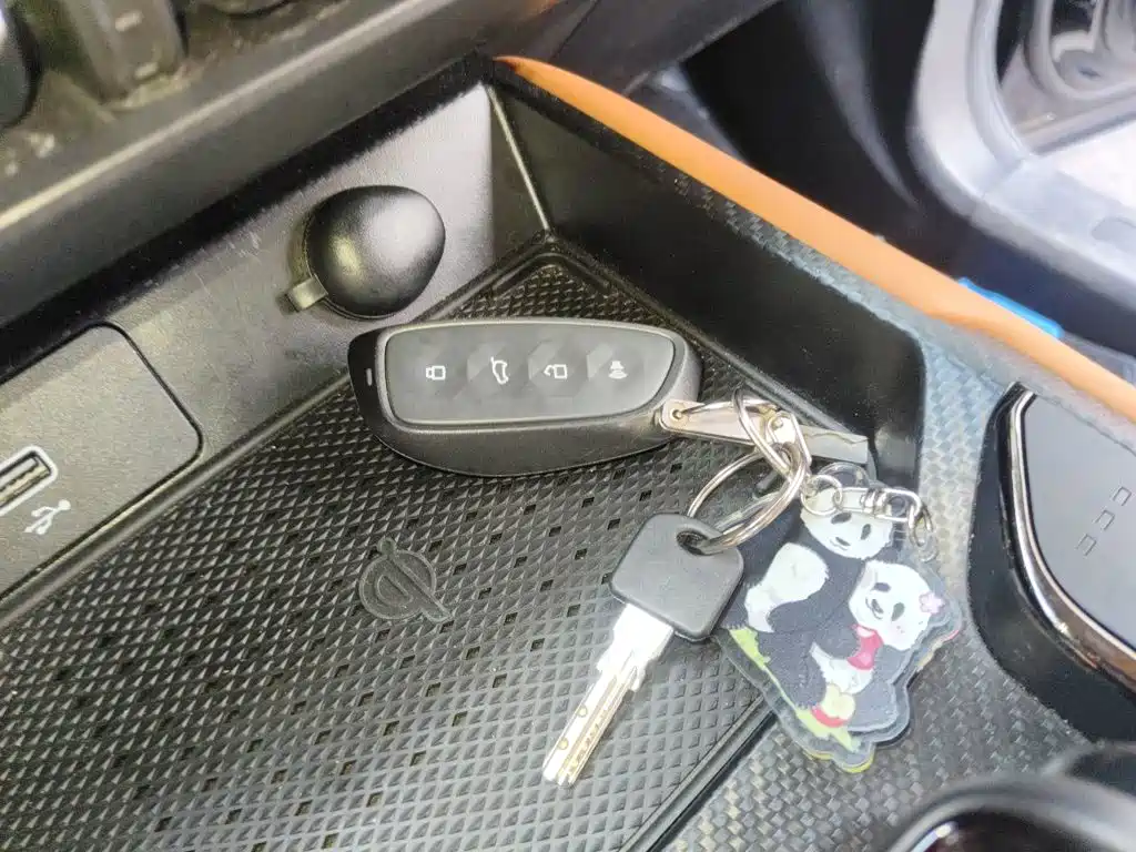 Haval Big Dog PLUS New Energy — миниатюра 9