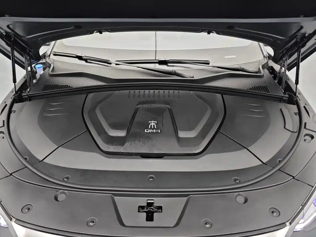 BYD SONGJIANG NEW ENERGY