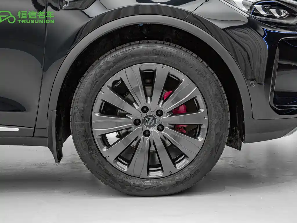BYD Tang New Energy — миниатюра 7