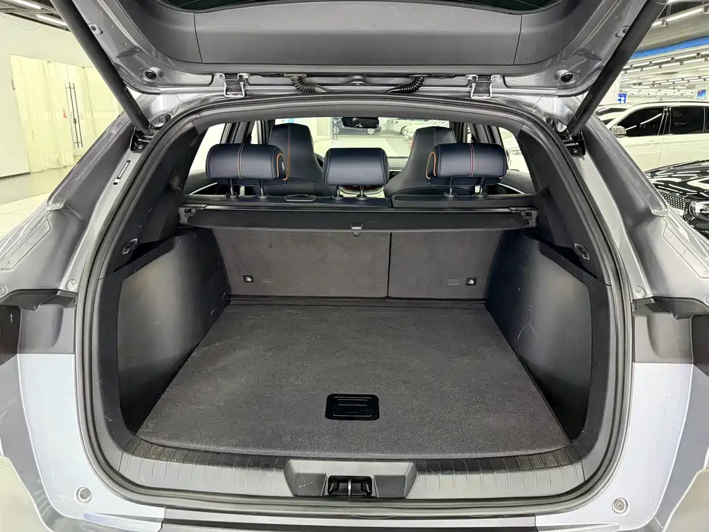 BYD PLUS New Energy — миниатюра 11