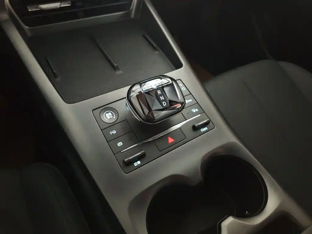 BYD Qin Plus PLUS 2025 EV Smart Drive 510KM Lead