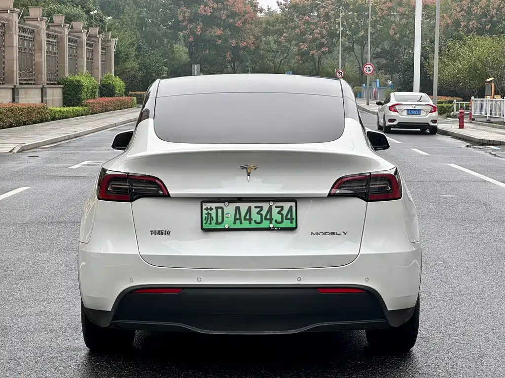 Tesla Model Y — миниатюра 8