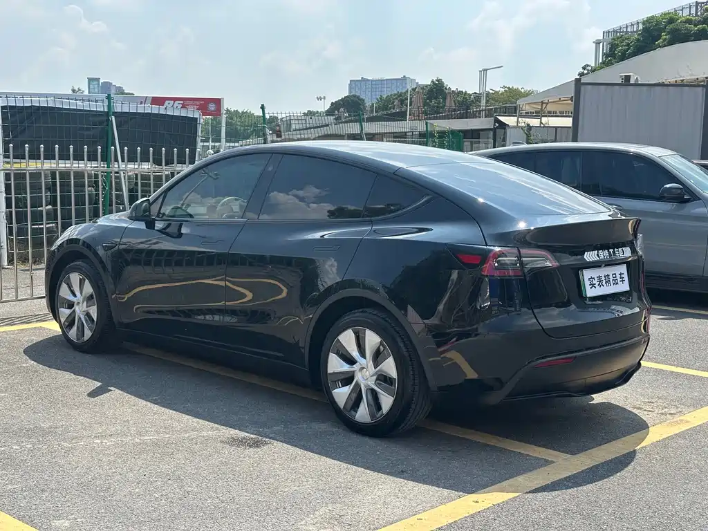 Tesla Model Y — миниатюра 4