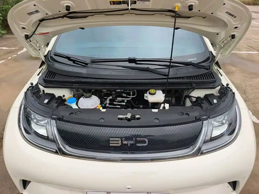 BYD Dolphin — миниатюра 20