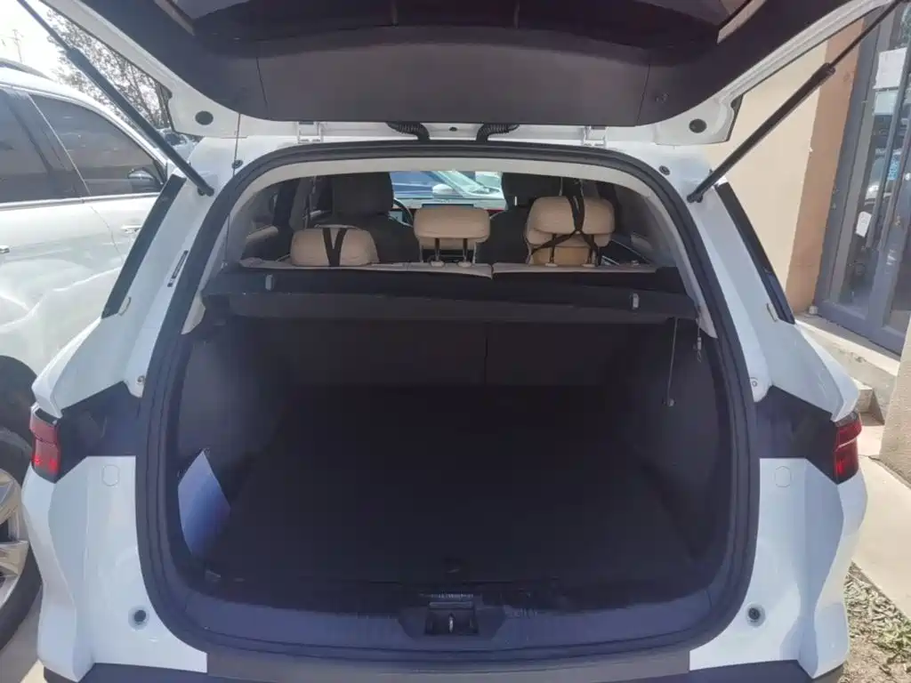 BYD Pro New Energy — миниатюра 15