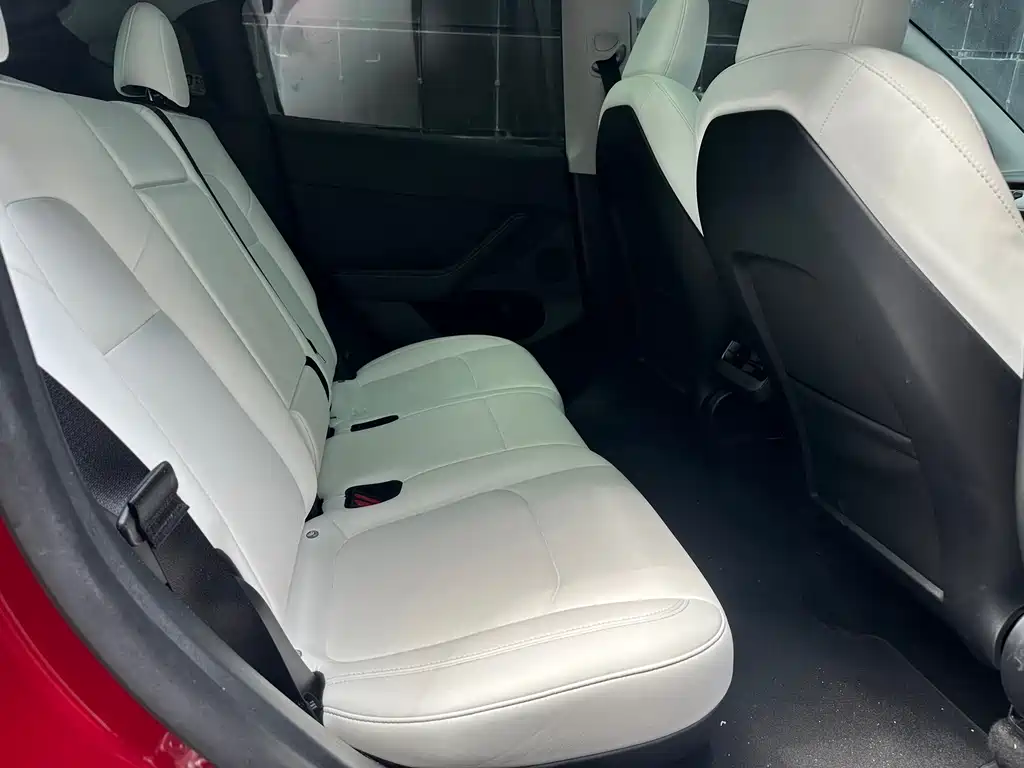 Tesla Model Y — миниатюра 10