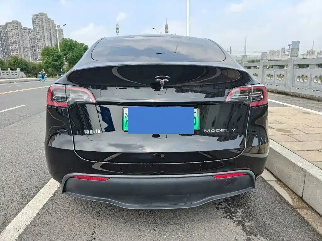 Tesla Model Y — миниатюра 5