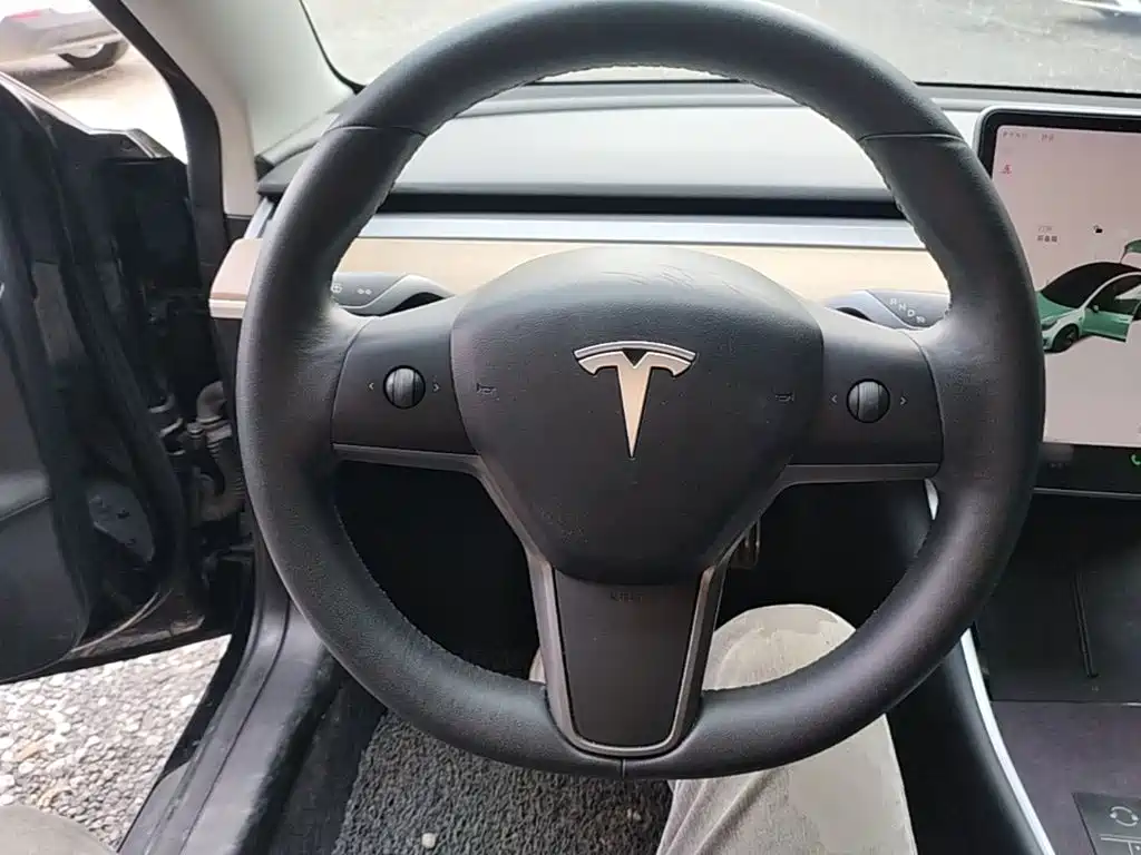 Tesla Model 3 — миниатюра 11