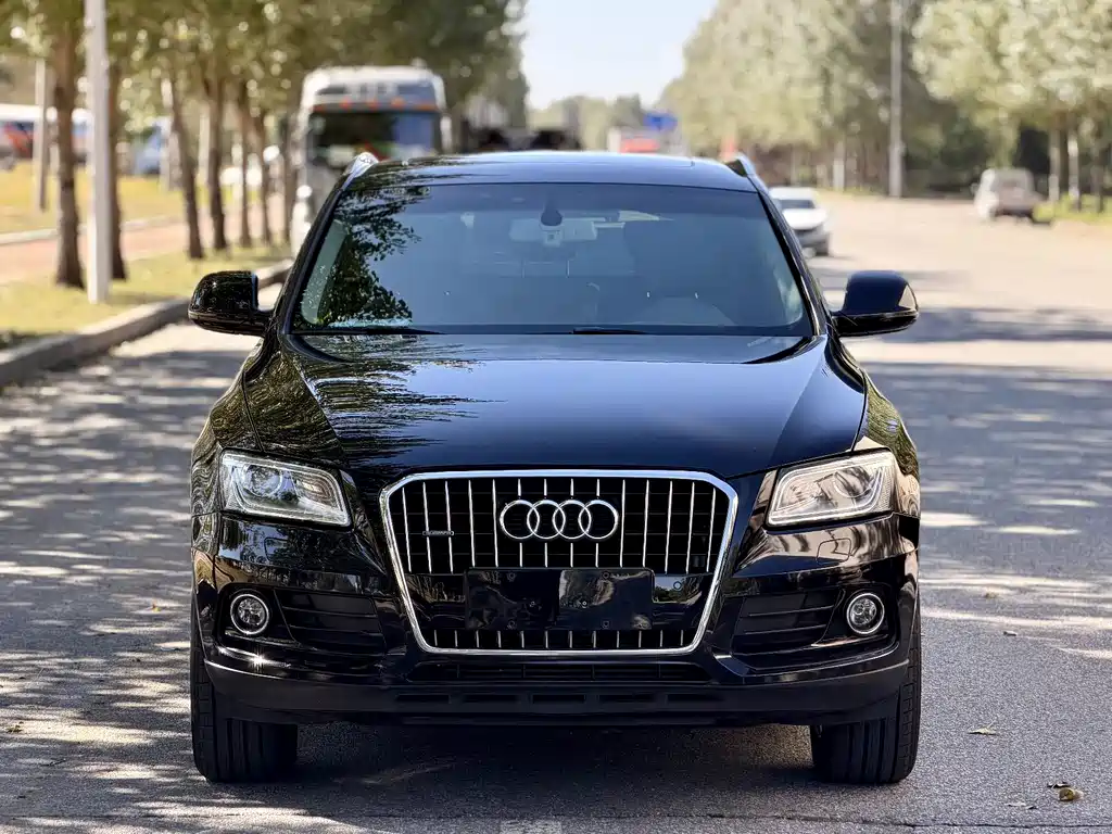 Audi Q5 — миниатюра 2