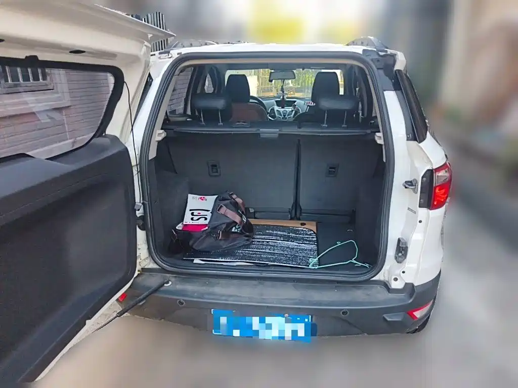 Ford Ecosport — миниатюра 20