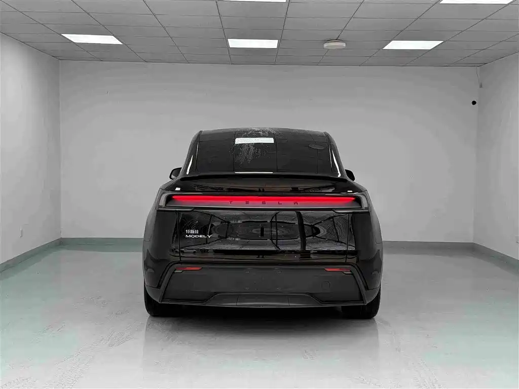 Tesla Model Y — миниатюра 21