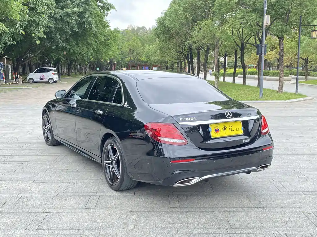 Mercedes-Benz E-Class E 2020 E 300 L