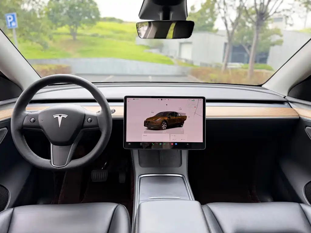 Tesla Model Y — миниатюра 15