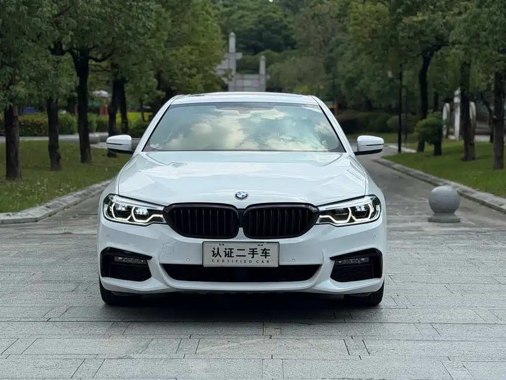 BMW 5 Series (Import) — миниатюра 2