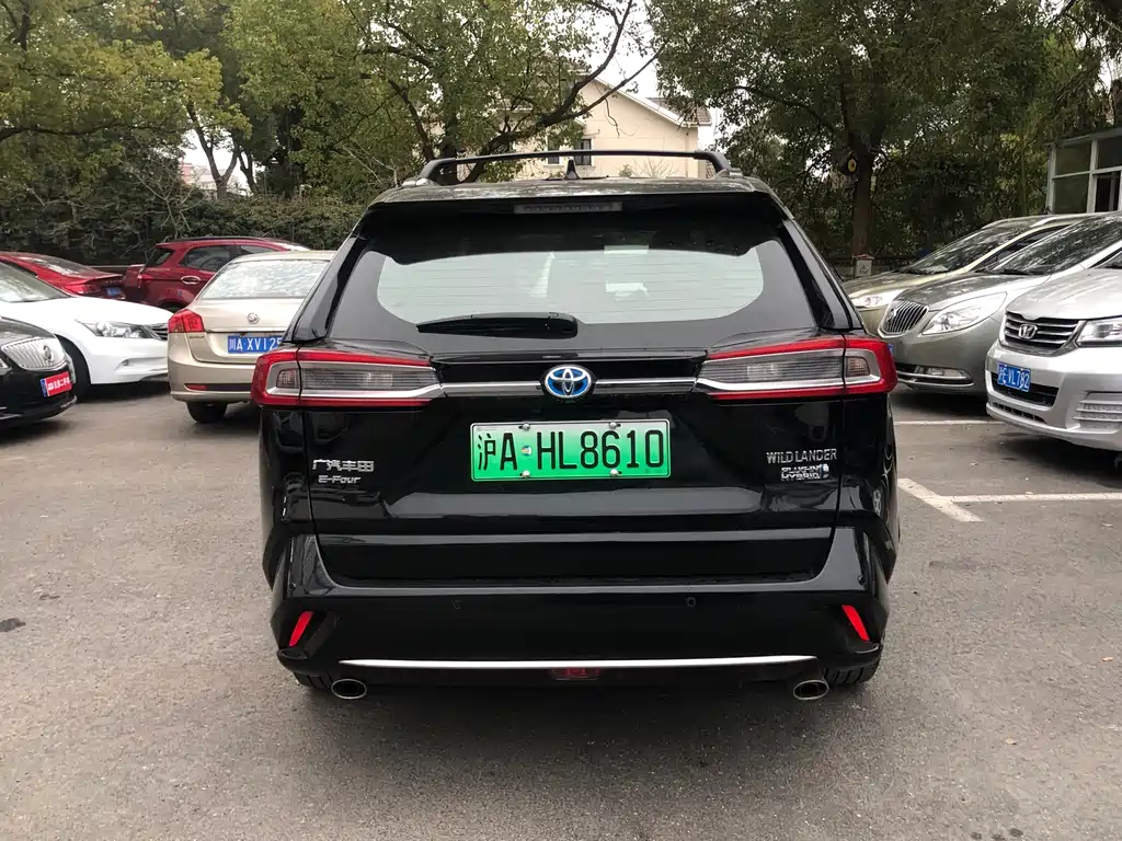 TOYOTA WEILANDA NEW ENERGY