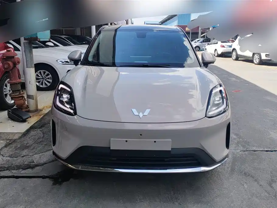 Wuling BinguoS S 2025 325km Flagship