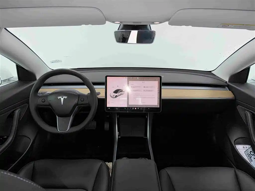 Tesla Model 3 — миниатюра 6