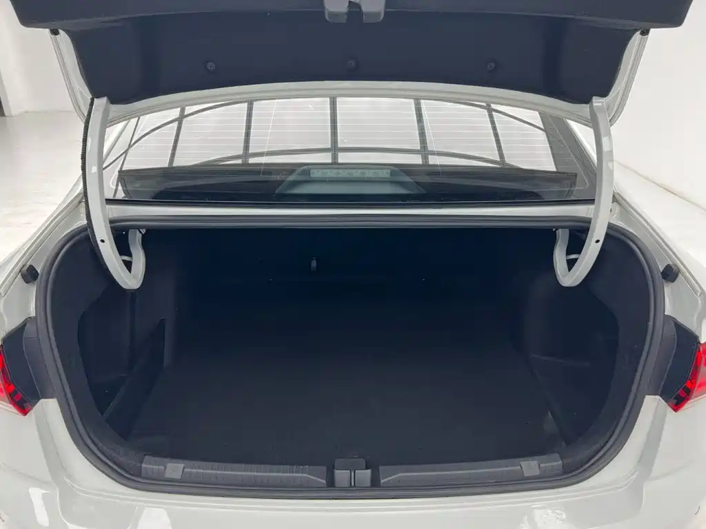 Volkswagen Bora — миниатюра 11