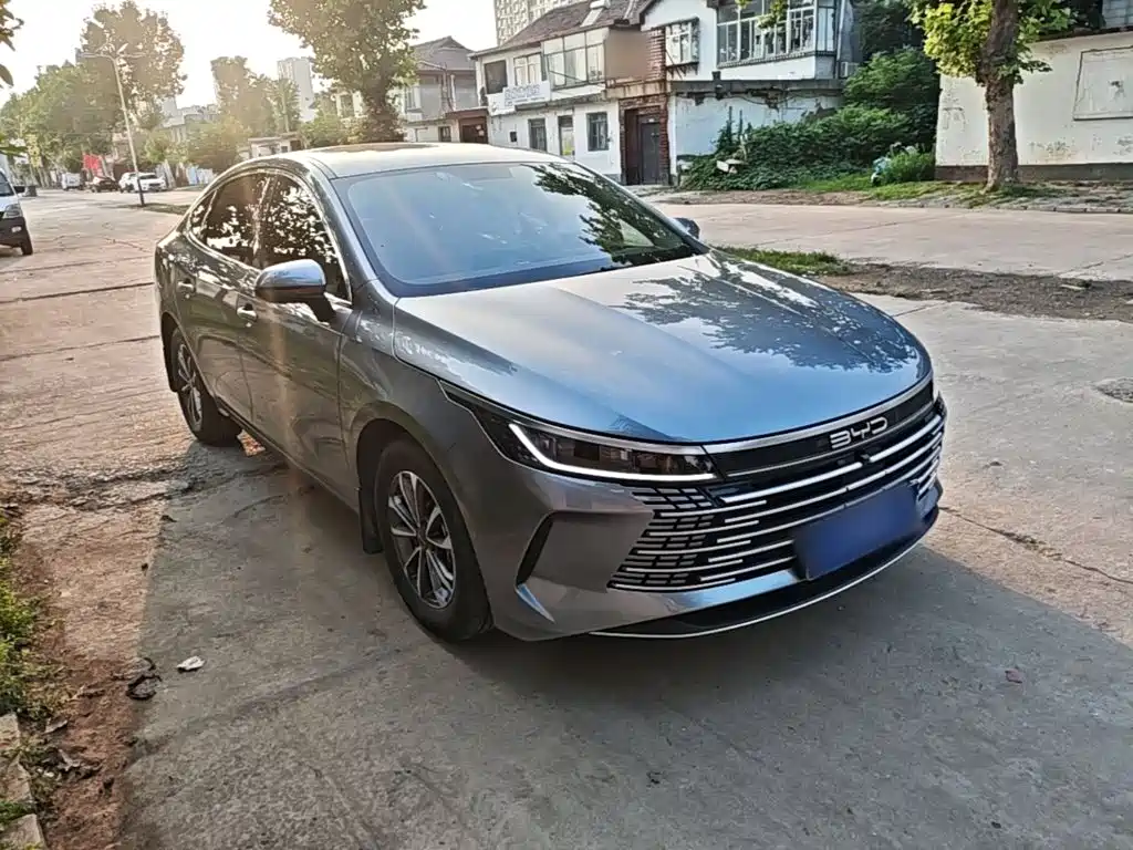 BYD Destroyer 05 2024 DM-i 55KM Luxury