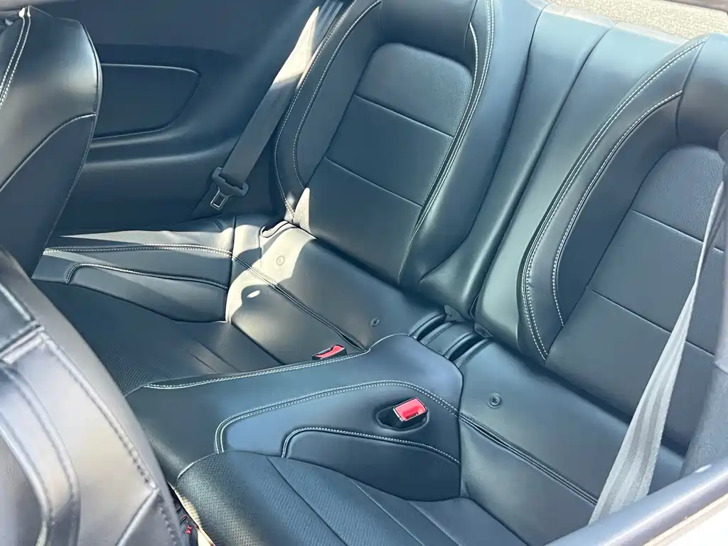 Ford Mustang — миниатюра 11