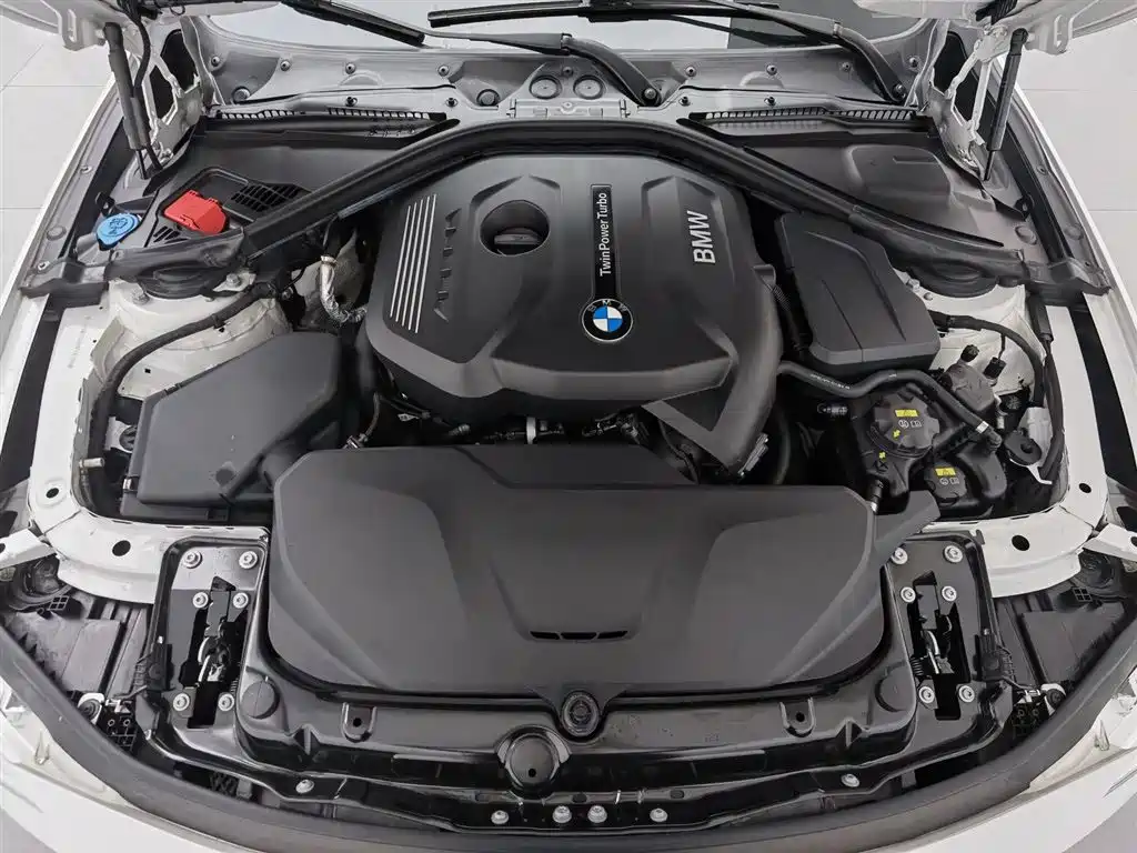 BMW 3 Series 3 2019 320Li Fashion