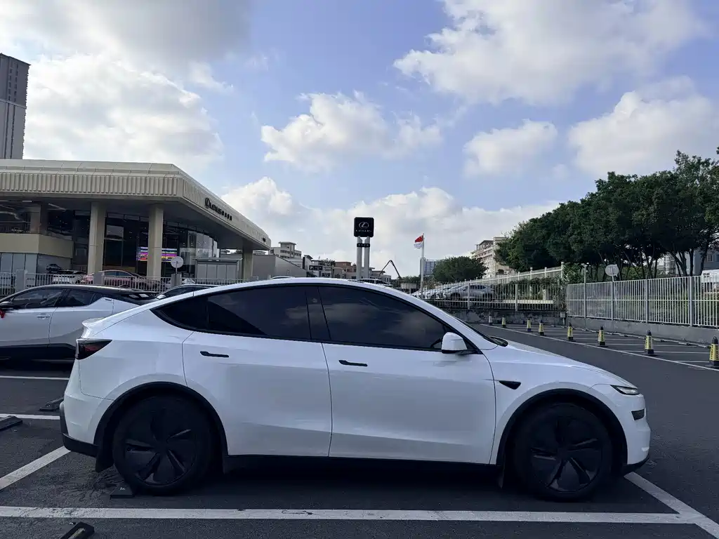 Tesla Model Y — миниатюра 15