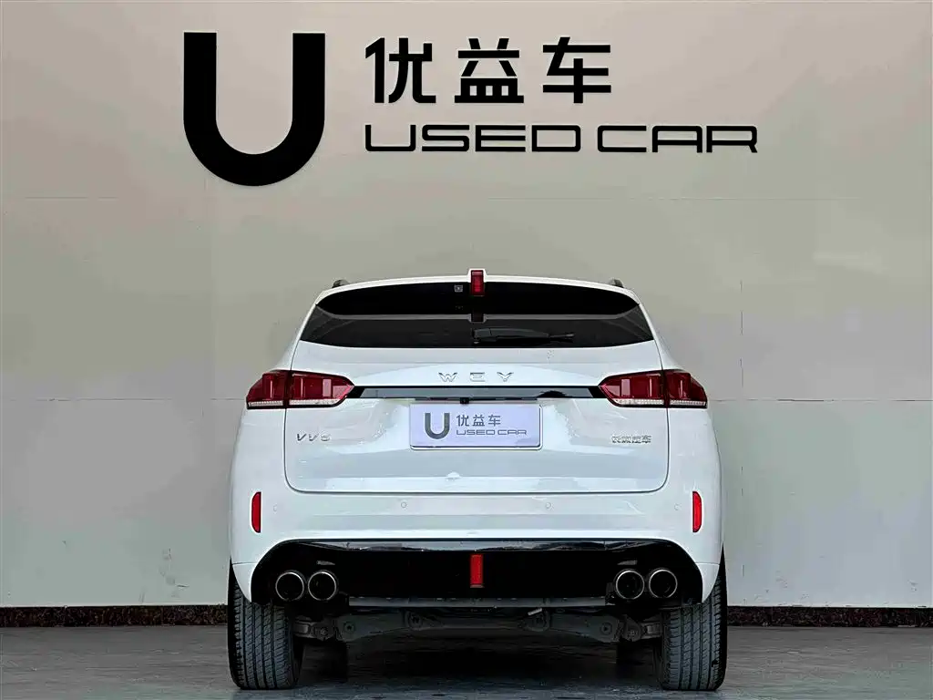 WEI PAI WEI BRAND VV5