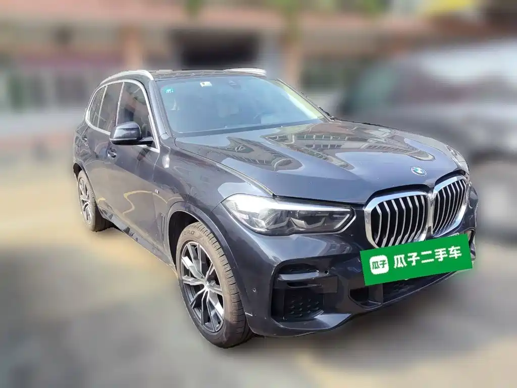 BMW X5 (Import) — миниатюра 24