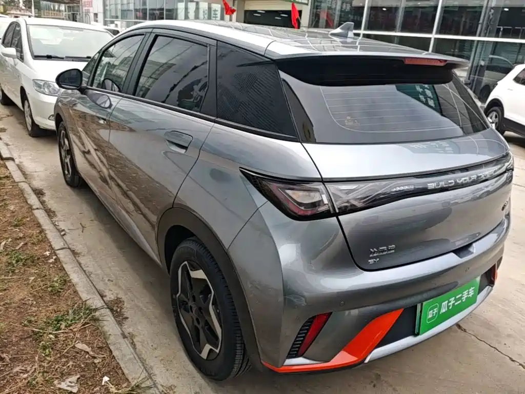 BYD Dolphin — миниатюра 5