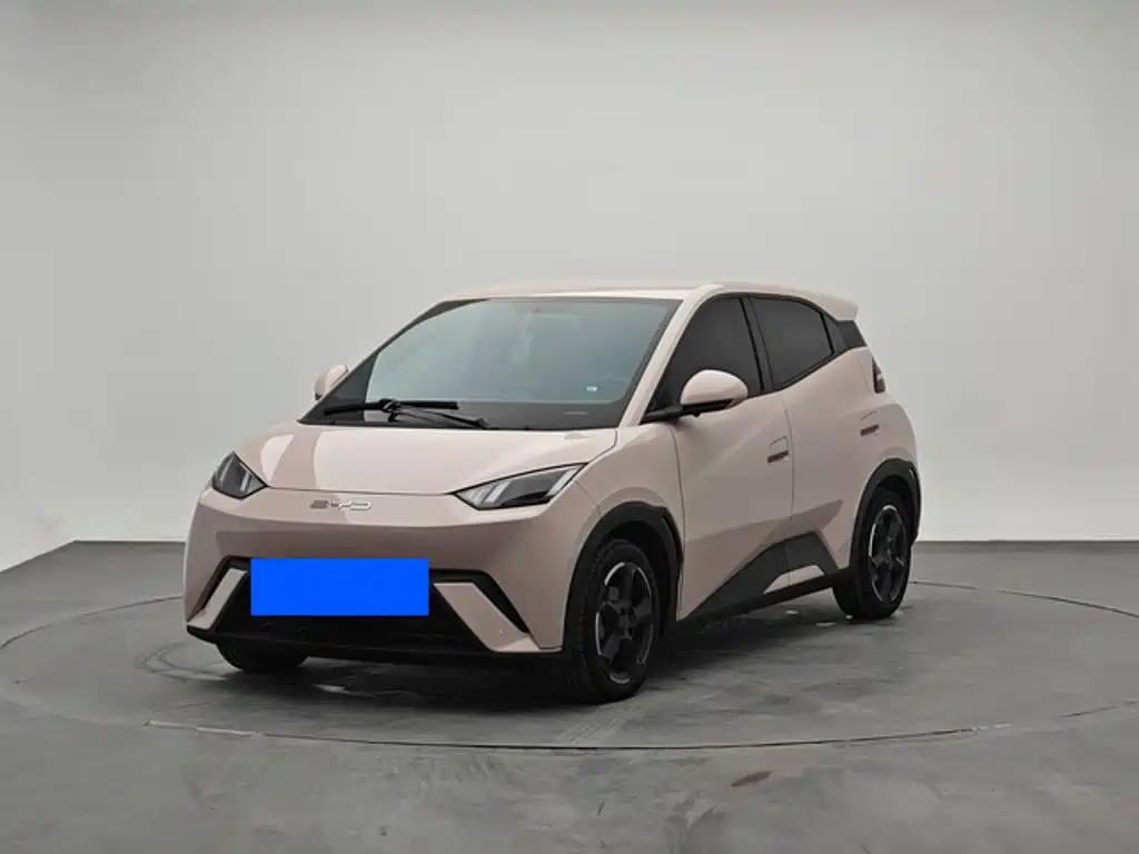 BYD Seagull