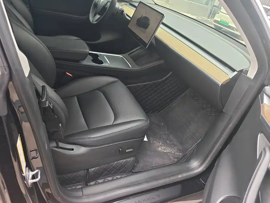 Tesla Model Y — миниатюра 8