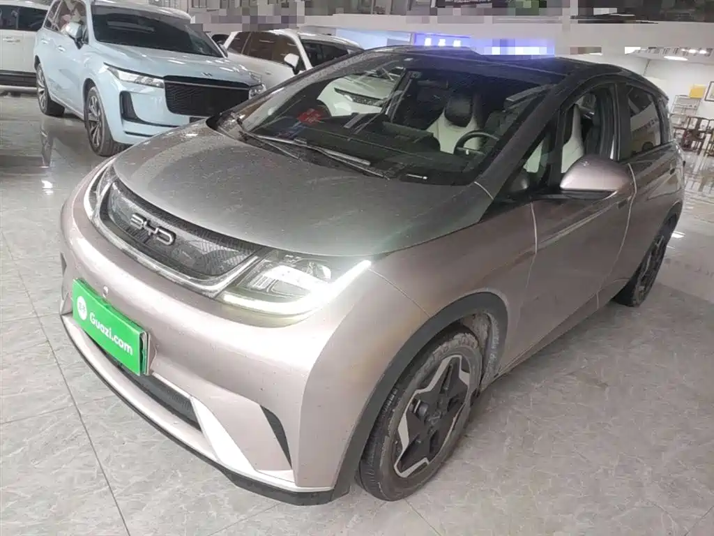 Byd Dolphin 2022