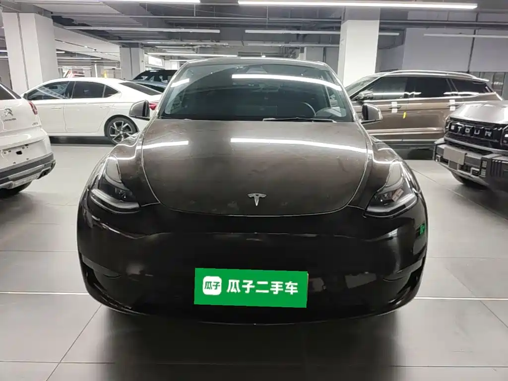 Tesla Model Y — миниатюра 3