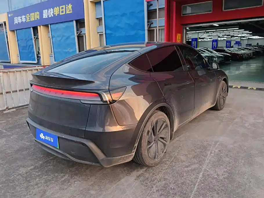 Tesla Model Y — миниатюра 3