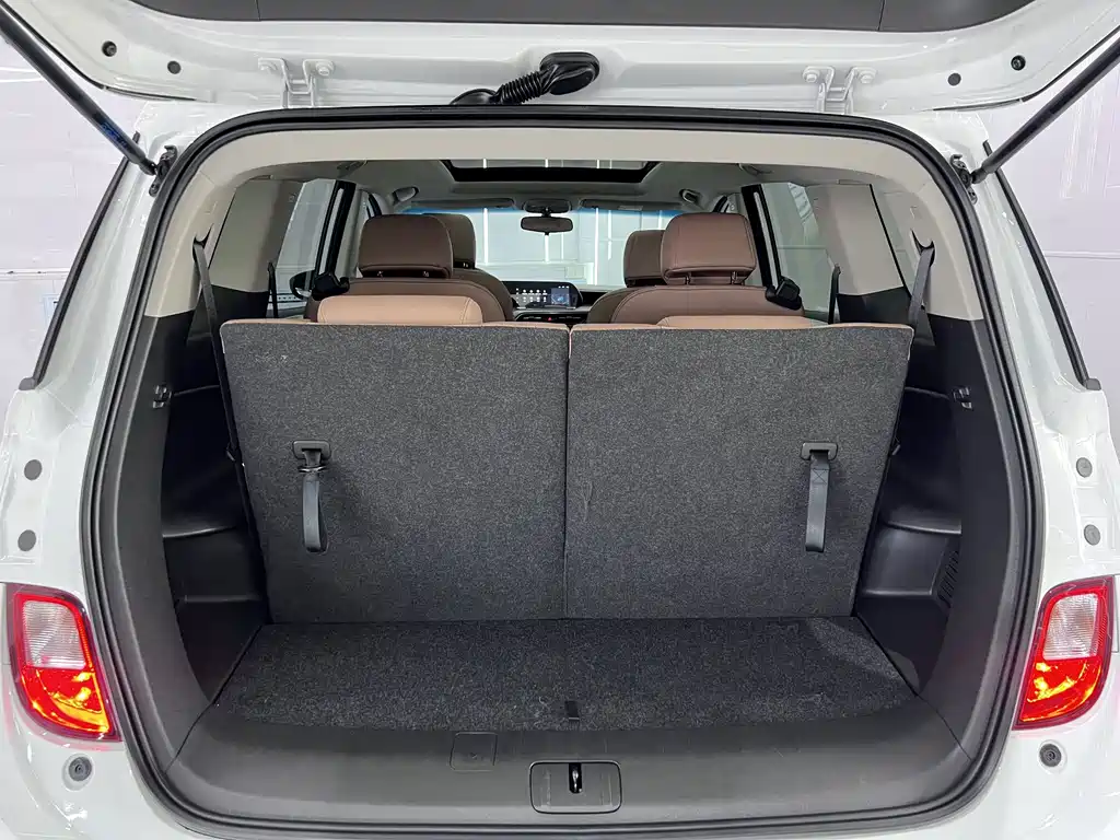 Buick GL6 — миниатюра 16