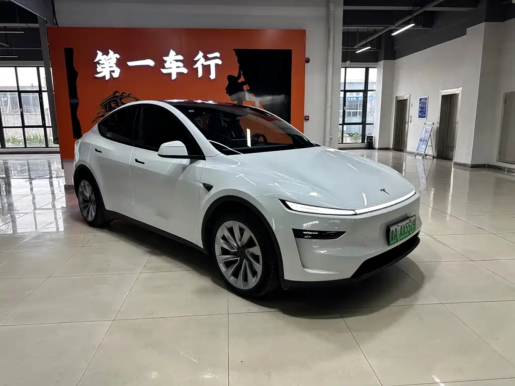 Tesla Model Y — миниатюра 2