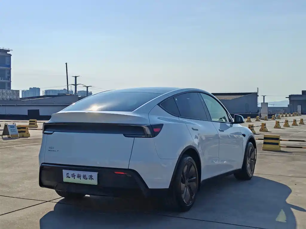 Tesla Model Y — миниатюра 7
