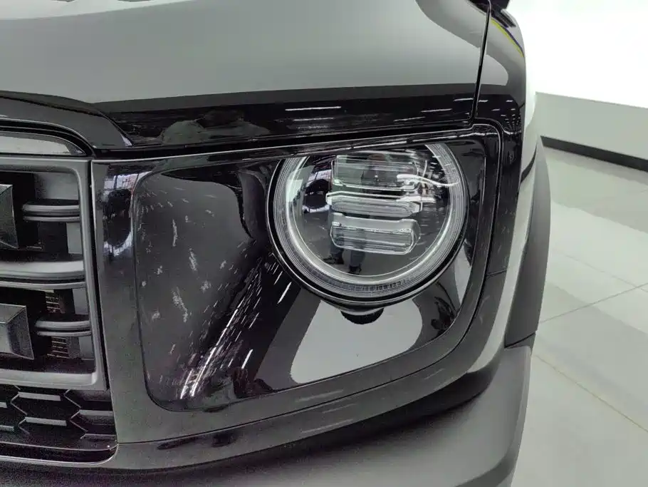 Haval Big Dog — миниатюра 5