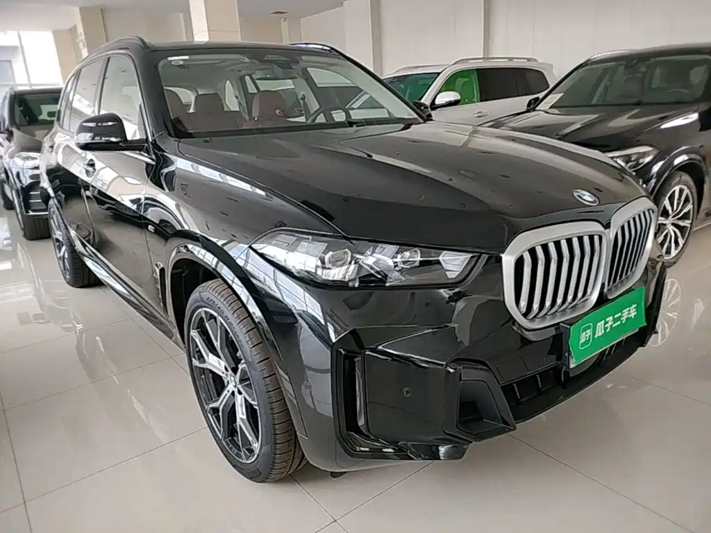 BMW X5 — миниатюра 4